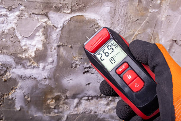 Home Mold Removal in Hamshire, TX