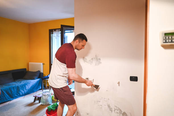 Best Mold Cleaning Services  in Hamshire, TX